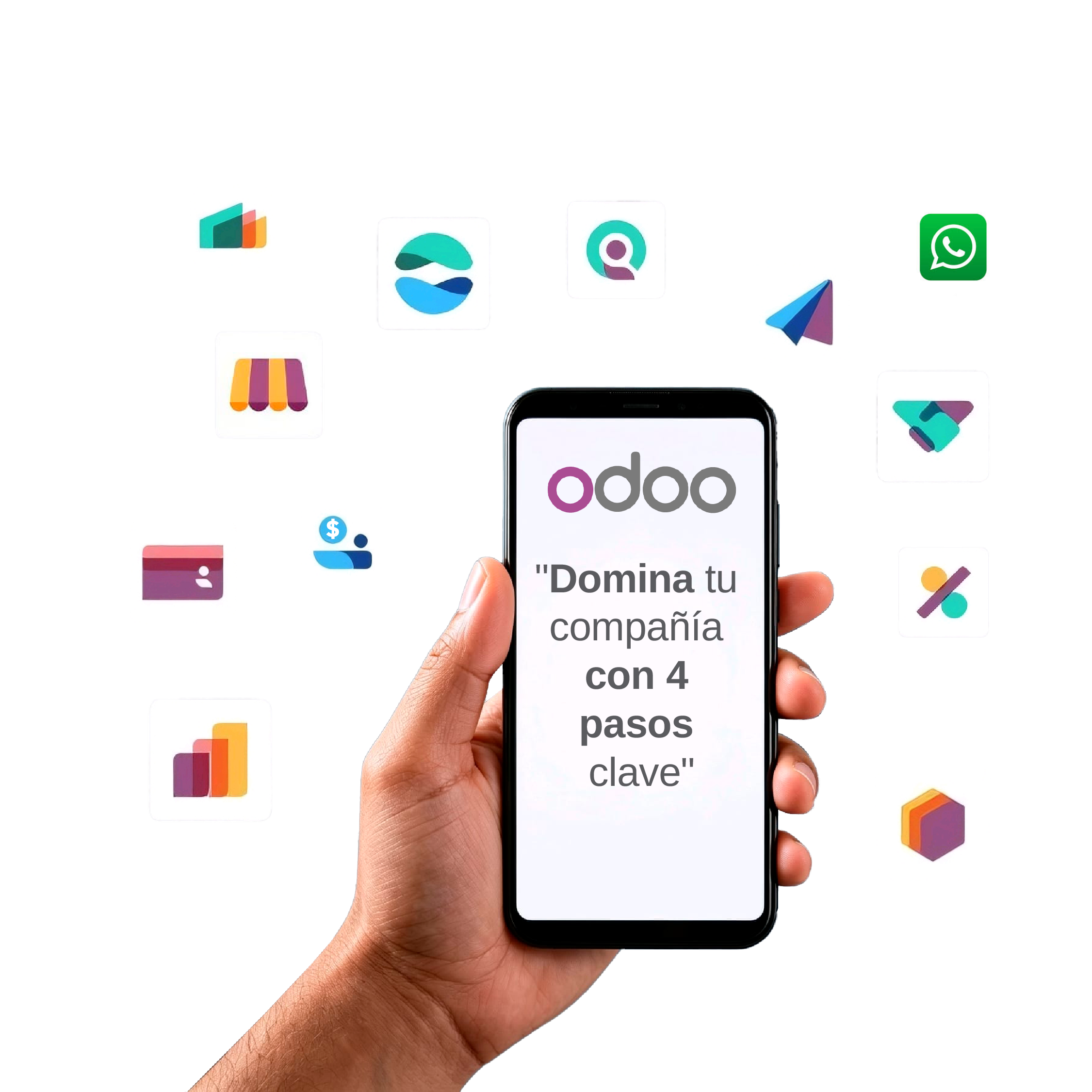 implementación Odoo SUINER